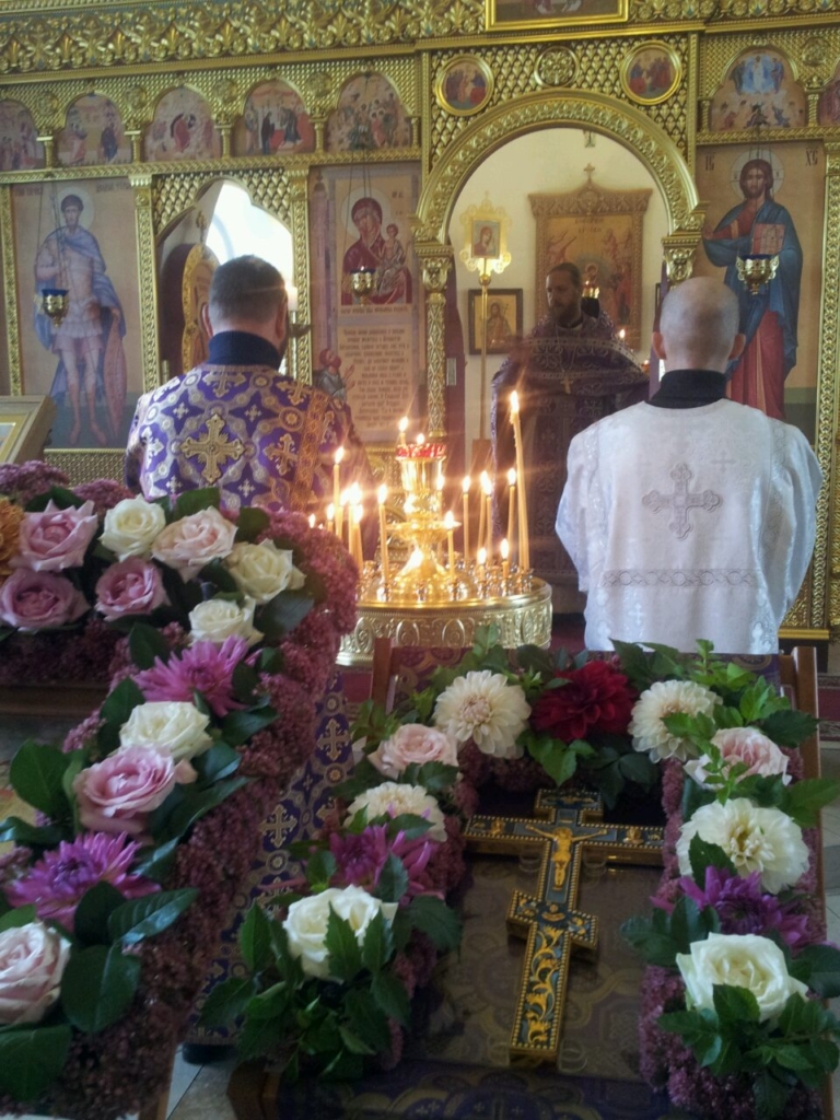 IMG-23bb622fdbf140123d67ae94d8f1bd08-V